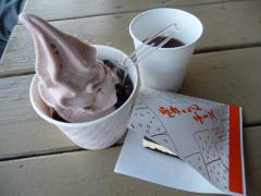 P1370419-AZUKI.jpg