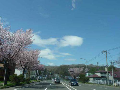 P1380587-AZUKI.jpg