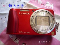 P1380665-AZUKII.jpg