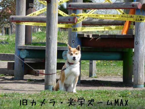 P1380670-AZUKI.jpg