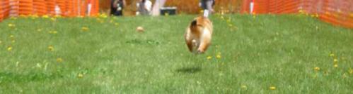 P1380733+AZUKI.jpg