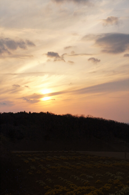 DSC02392.jpg