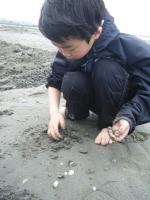 ryo貝