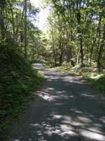 舗装道路