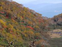 大倉の紅葉