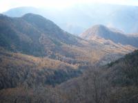 茶臼山方面