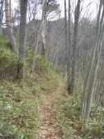 登山口から1
