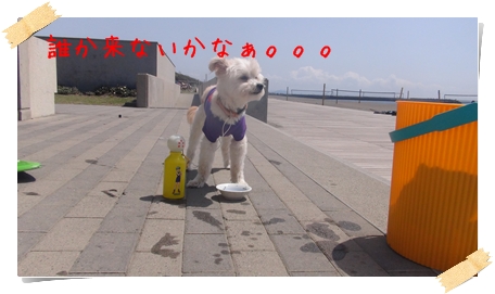 DSC01283.jpg