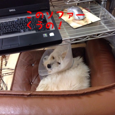fc2blog_201302201857214b2.jpg