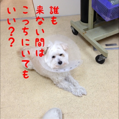 fc2blog_20130220185736793.jpg