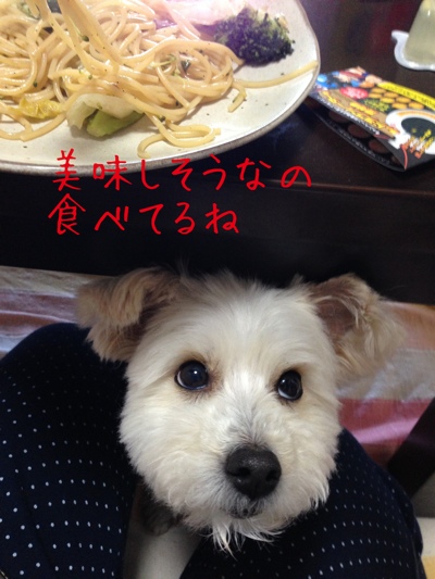 fc2blog_20130319224511b28.jpg