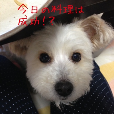 fc2blog_2013031922454258b.jpg