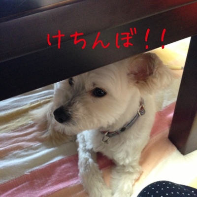 fc2blog_201303192246127a6.jpg