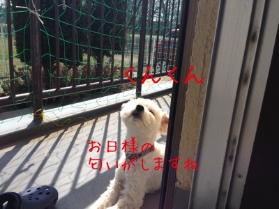 fc2blog_2013031922462879f.jpg