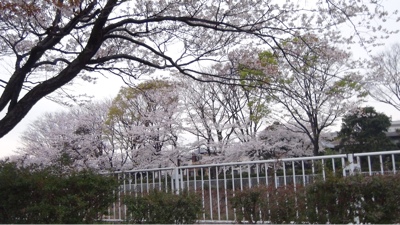 fc2blog_201303272320144c4.jpg