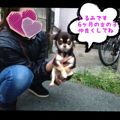 fc2blog_20130410225634e90.jpg