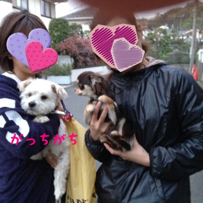 fc2blog_20130410225643002.jpg