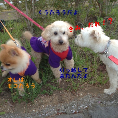 fc2blog_20130410225657a03.jpg
