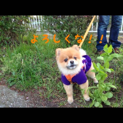 fc2blog_20130410225709274.jpg