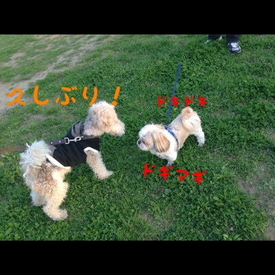 fc2blog_201304102257196b3.jpg