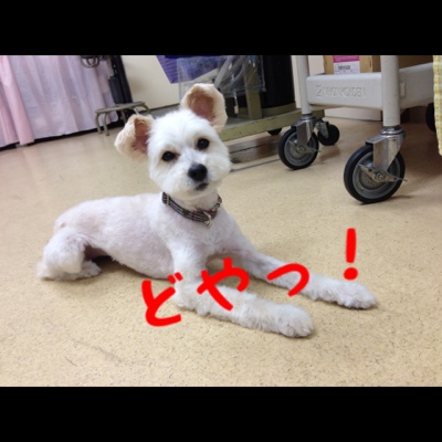 fc2blog_20130530005907cba.jpg