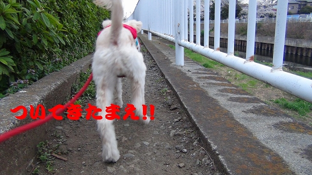 s-DSC01161.jpg