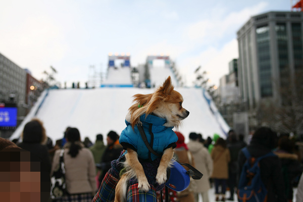 ジャンプ台 茶太郎