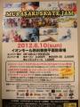 DSC06725a.jpg