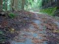 121027花折旧道葛川側の路面