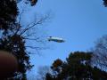 130101八幡宮上空のメットライフ飛行船