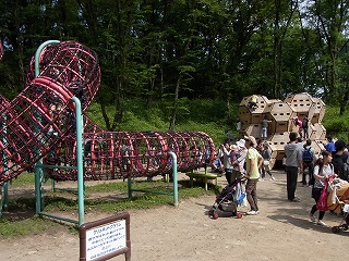 RIMG1494.jpg