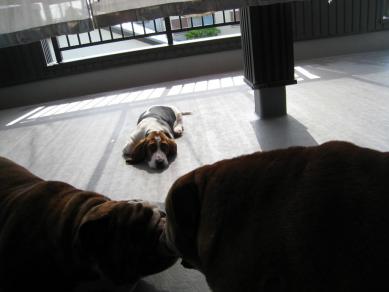 IMG_3947_convert_20120429134222.jpg