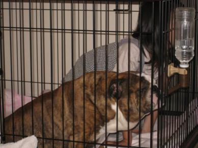IMG_4016_convert_20120519145506.jpg