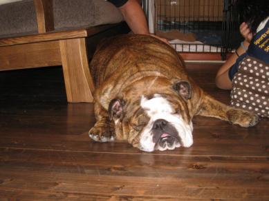 IMG_4037_convert_20120529164541.jpg