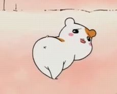 ebityu2006_20130404213158.jpg