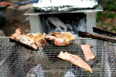 IMG_1252.jpg