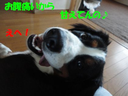 DSC01820.jpg