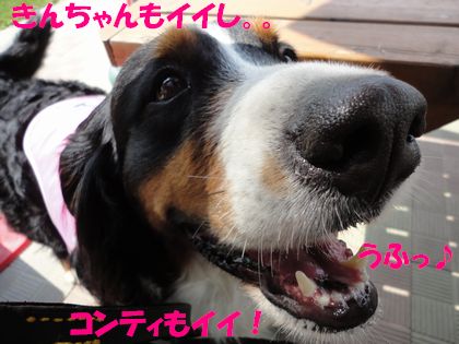DSC02161.jpg