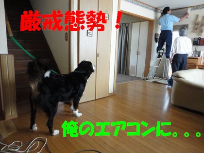 DSC02427.jpg