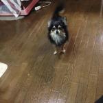 moblog_f402eab5.jpg
