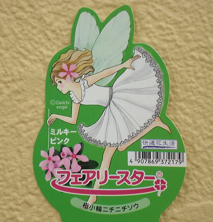 ニチニチソウラベル