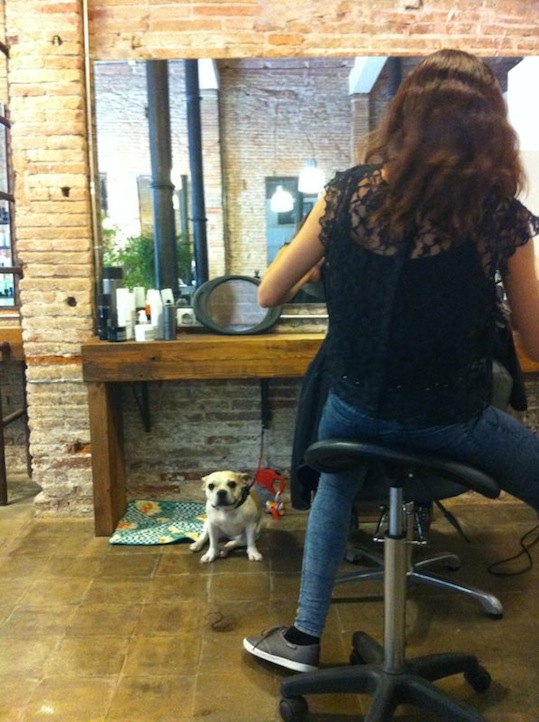 IMG-20120914-WA0002.jpg