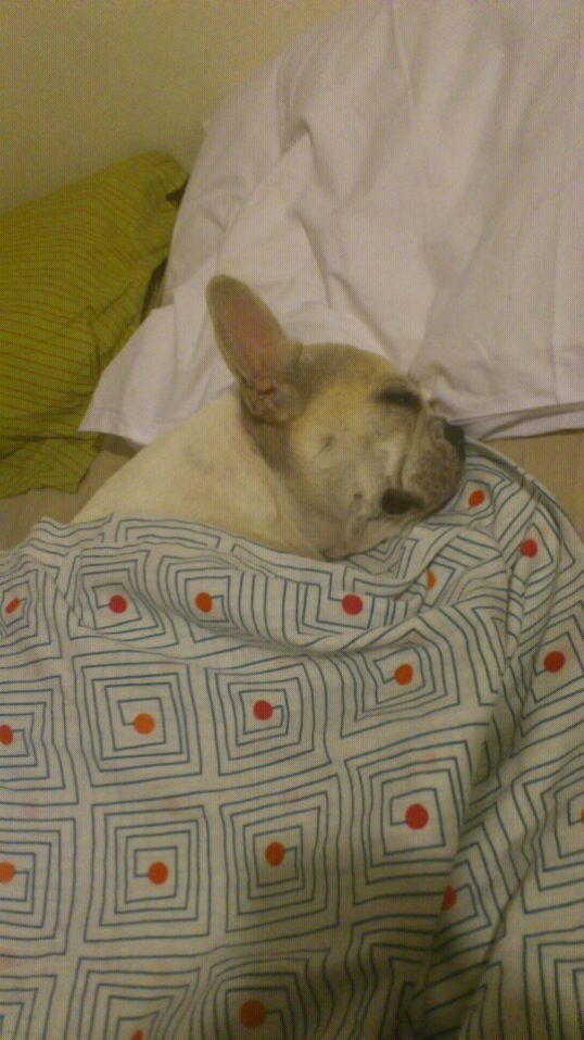 IMG-20120923-WA0000.jpg