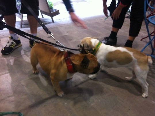 IMG-20120928-WA0000.jpg