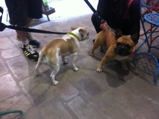 IMG-20120928-WA0001.jpg