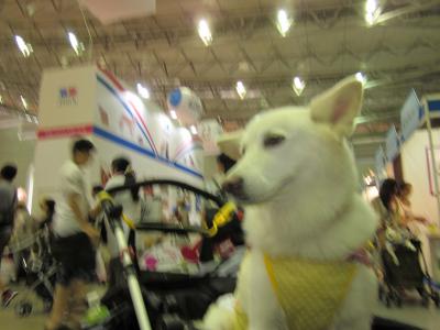 IMG_0957_convert_20120825204919.jpg
