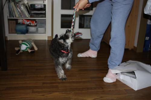 IMG_4625_convert_20120719095050.jpg