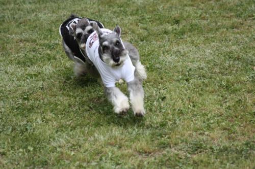 IMG_7266_convert_20120623134205.jpg