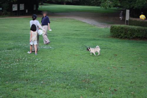 IMG_7714_convert_20120717104957.jpg