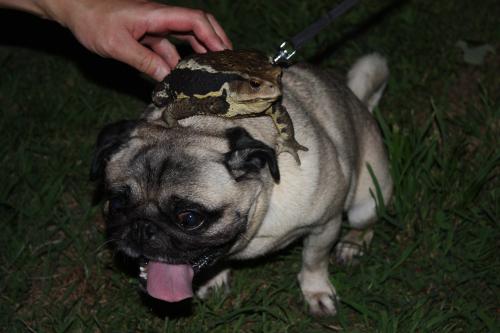 IMG_7816_convert_20120717110038.jpg